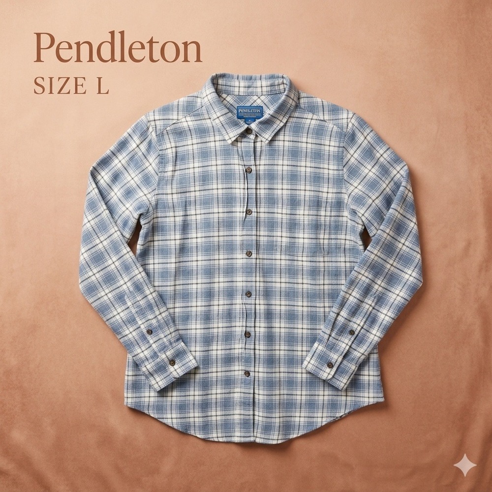 Pendleton‎ Minimalist Plaid Button Down Shirt Mens Large Blue White